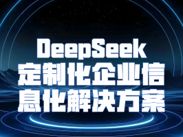 DeepSeek 定制化企业信息化解决方案：引领企业数字化转型新征程
